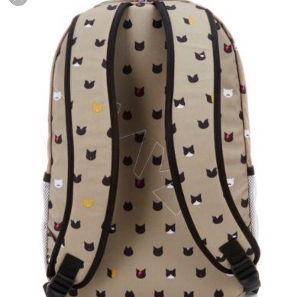 kavu cattitude